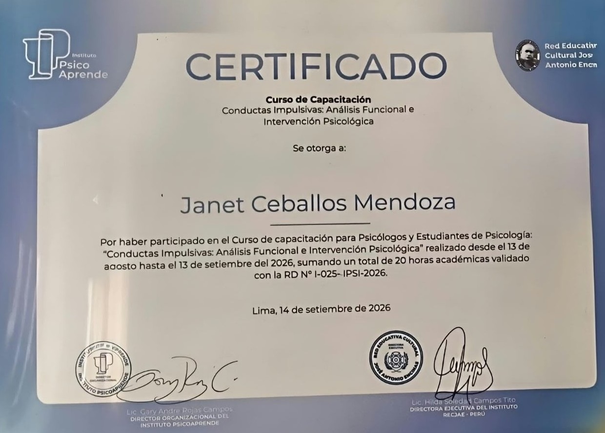 Certificado 6